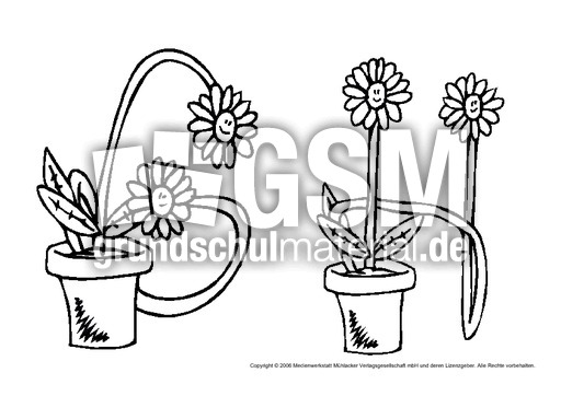 G-H-Blumen-1.pdf